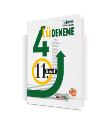 Yayın Denizi Yayınları 11. Sınıf Pro Simülatör 4'lü Deneme - 2022